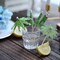 50 Green 6" Natural Bamboo SKEWERS Cocktail Picks Leaf Parasol